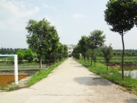 企業(yè)環(huán)境